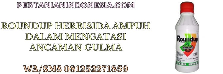 roundup,herbisida,herbisida roundup,roundup 486 sl,monagro kimia